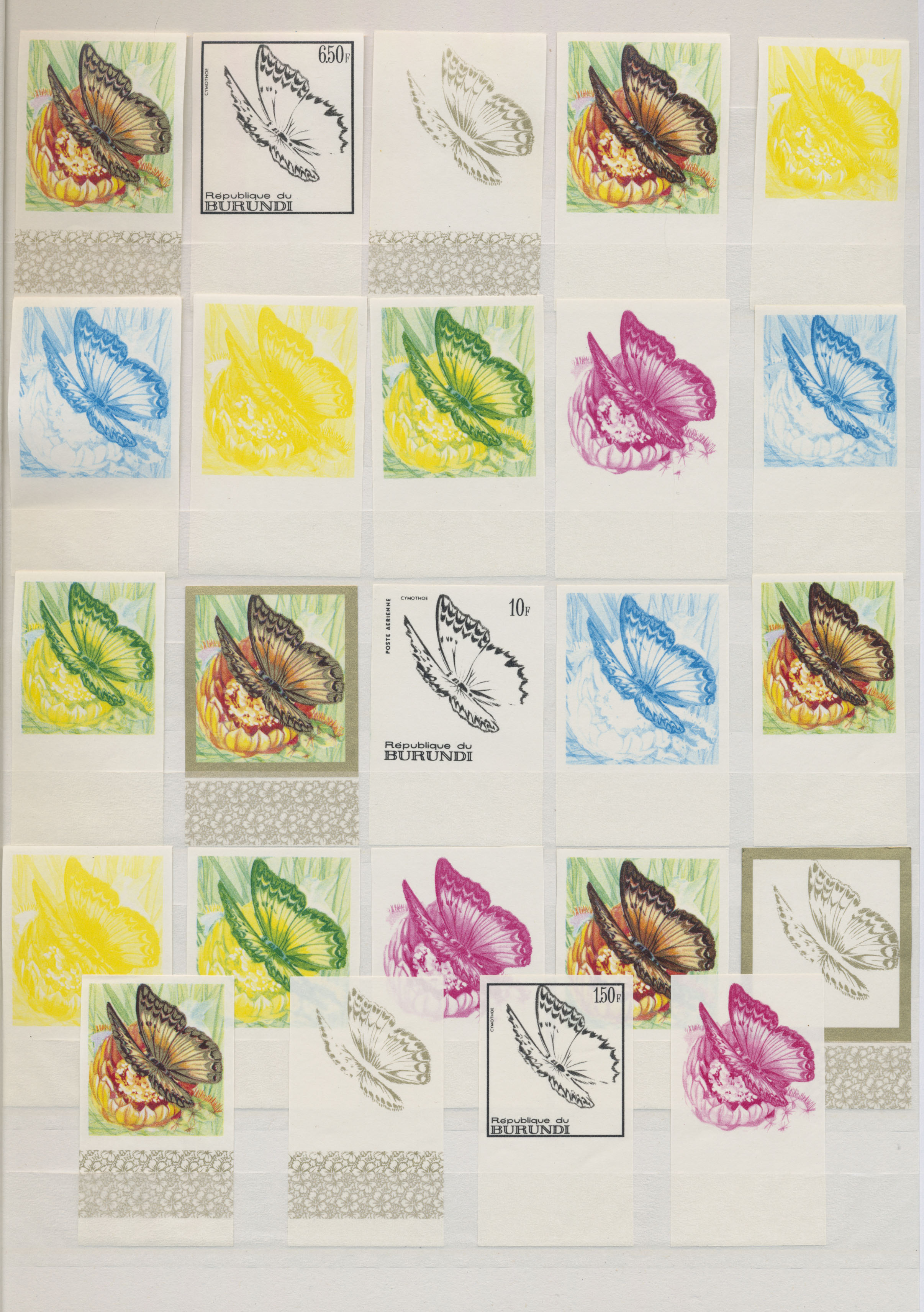 Lot 11732 - thematik: tiere-schmetterlinge / animals-butterflies - Auktionshaus Christoph Gärtner GmbH & Co. KG 58th AUCTION - Day 4 Lot 11732 - thematik: tiere-schmetterlinge / animals-butterflies - Auktionshaus Christoph Gärtner GmbH & Co. KG 58th AUCTION - Day 4