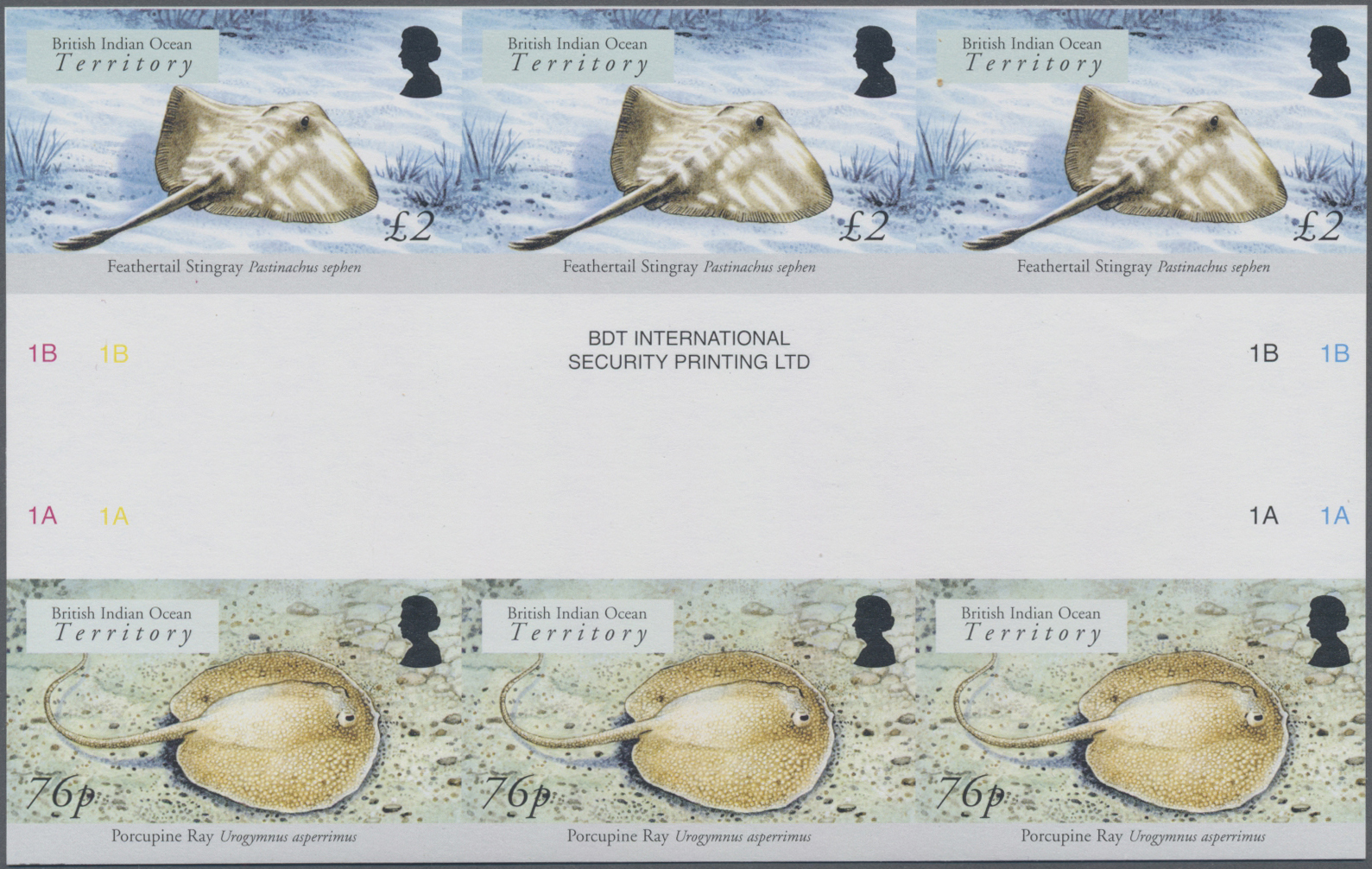 Lot 03636 - thematik: tiere-fische / animals-fishes  -  Auktionshaus Christoph Gärtner GmbH & Co. KG 55th AUCTION - Day 2