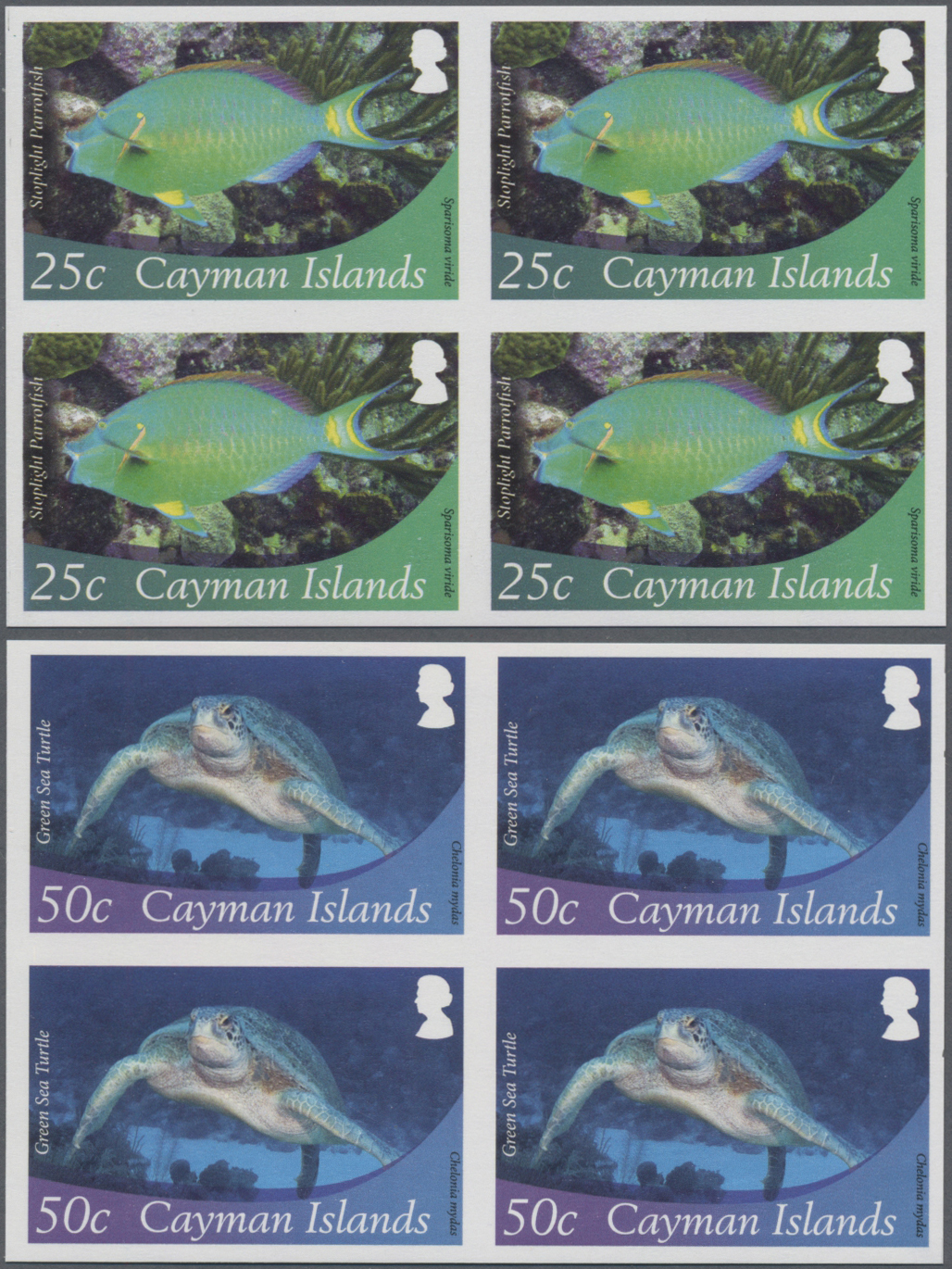 Lot 03649 - thematik: tiere-meerestiere / animals-sea animals  -  Auktionshaus Christoph Gärtner GmbH & Co. KG 55th AUCTION - Day 2