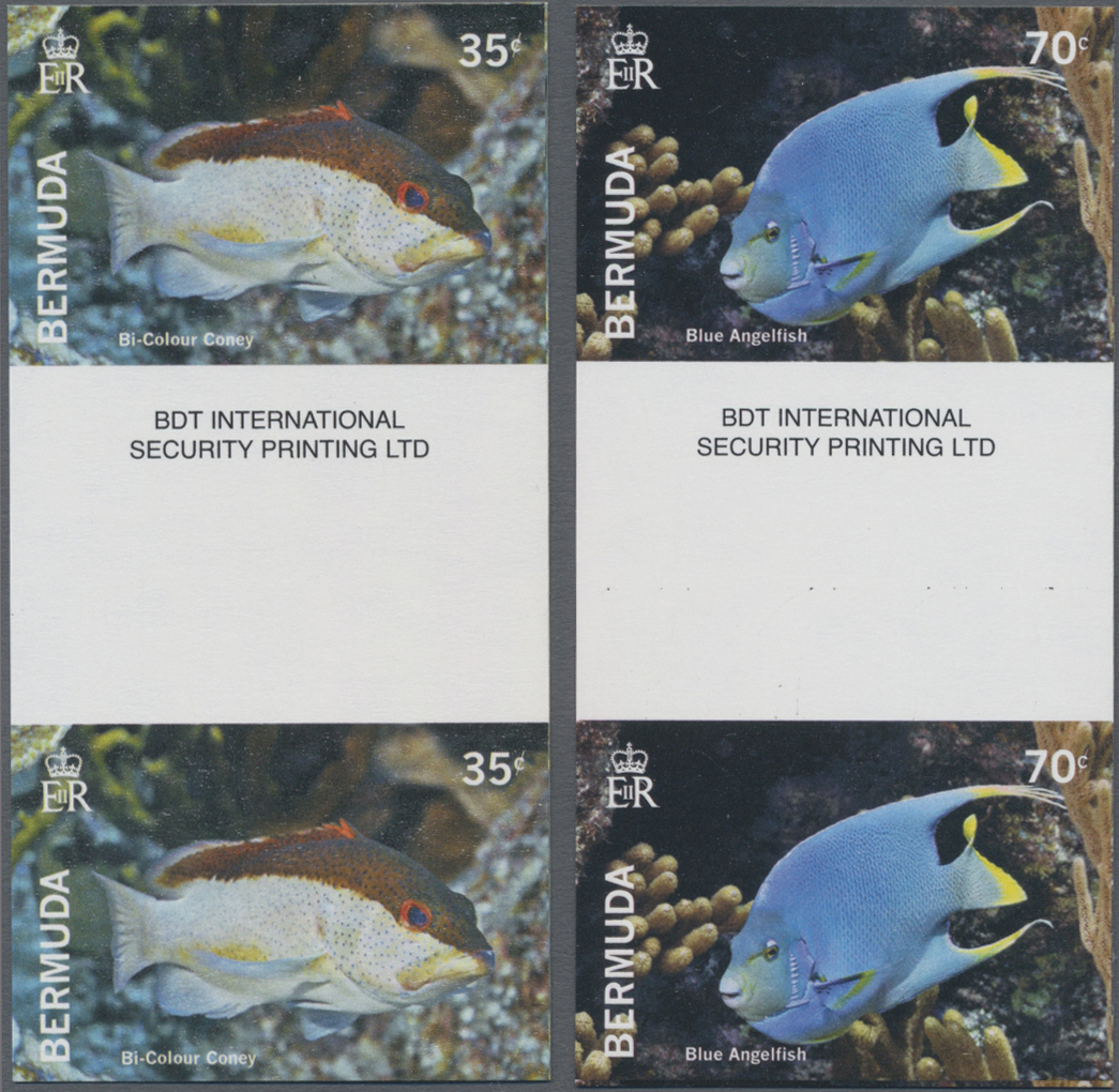 Lot 03645 - thematik: tiere-meerestiere / animals-sea animals  -  Auktionshaus Christoph Gärtner GmbH & Co. KG 55th AUCTION - Day 2