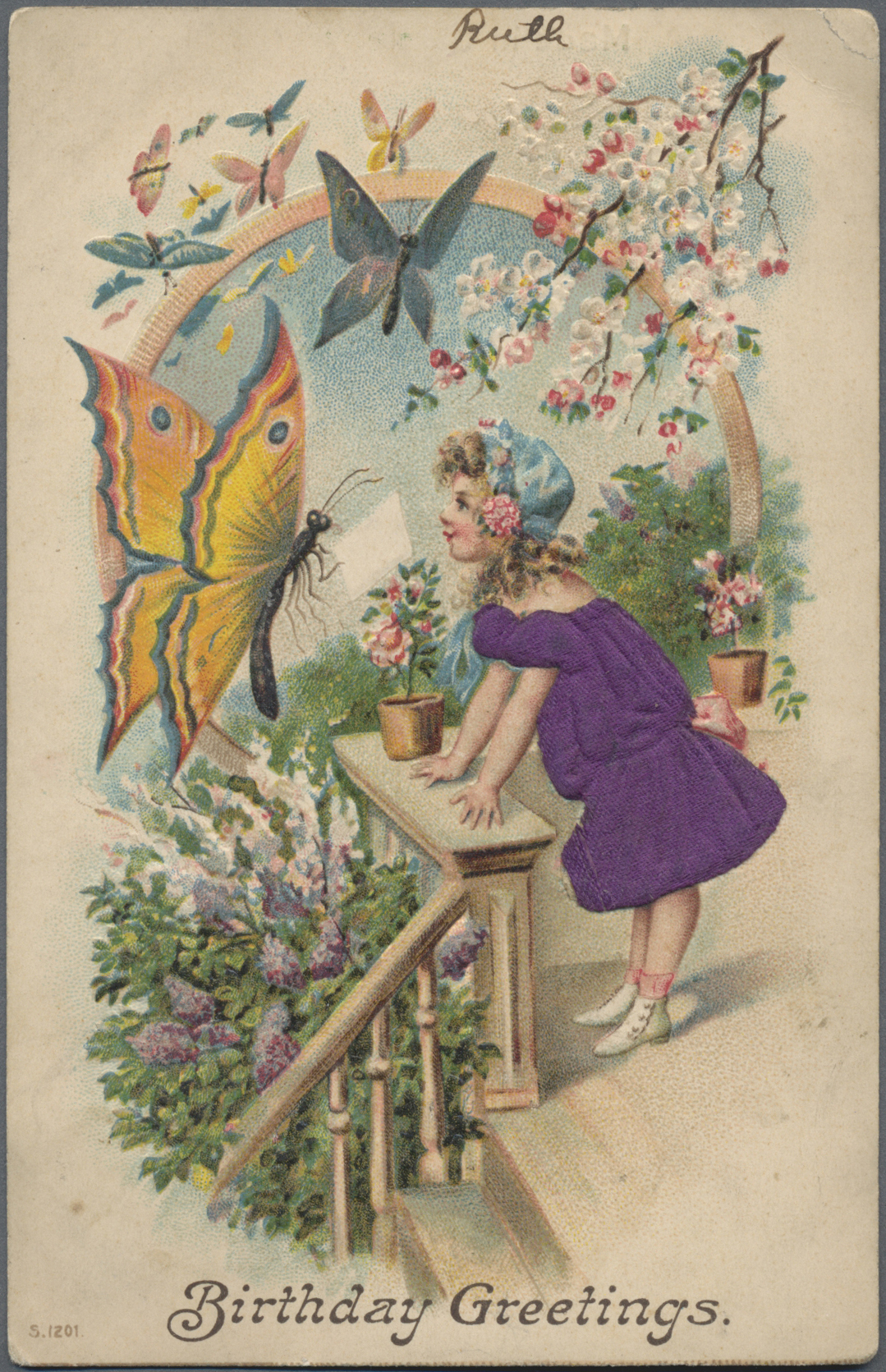 Lot 34879 - thematik: tiere-schmetterlinge / animals-butterflies  -  Auktionshaus Christoph Gärtner GmbH & Co. KG Sale #44 Collections Germany