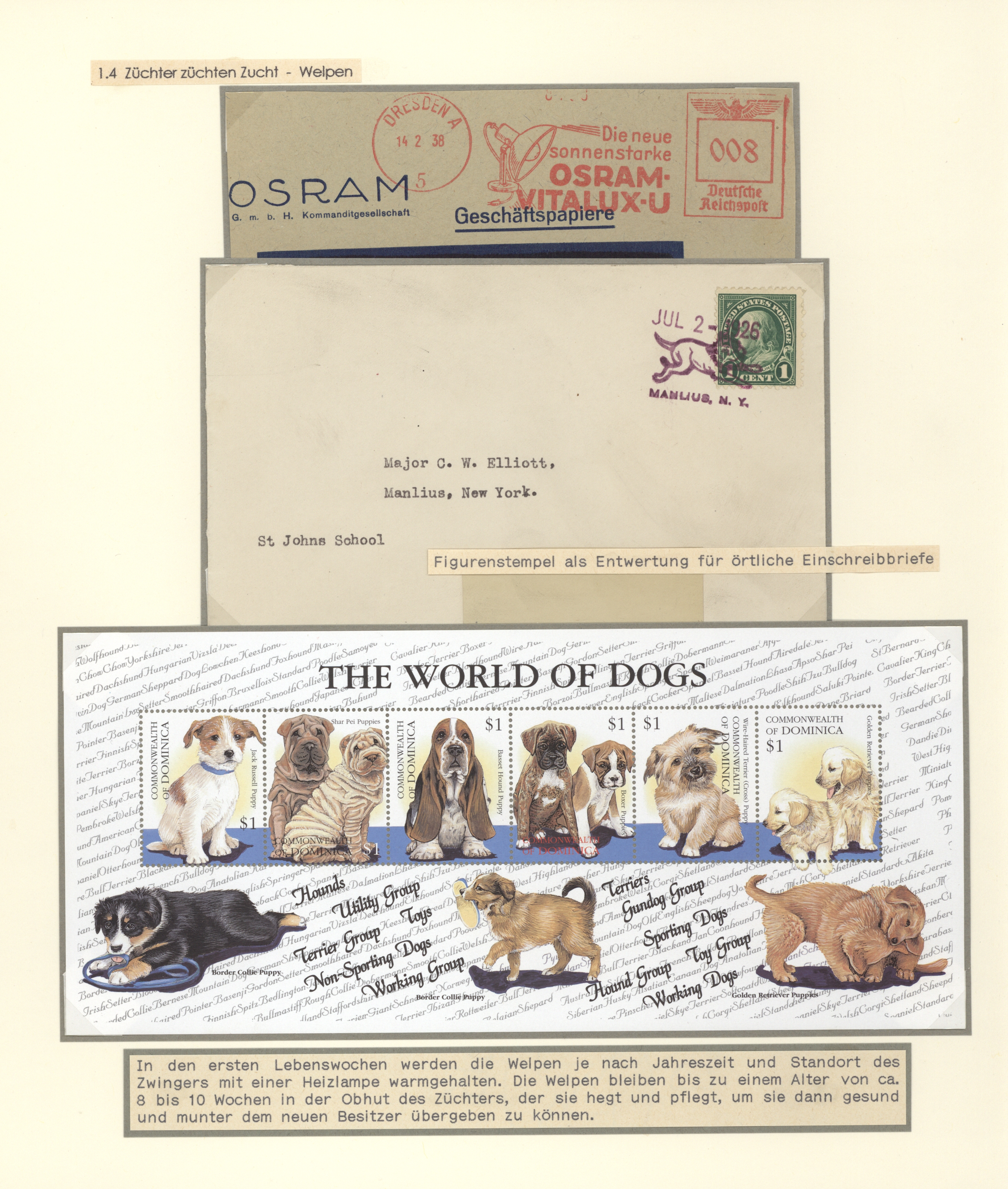 Lot 34871 - thematik: tiere-hunde / animals-dogs  -  Auktionshaus Christoph Gärtner GmbH & Co. KG Sale #44 Collections Germany