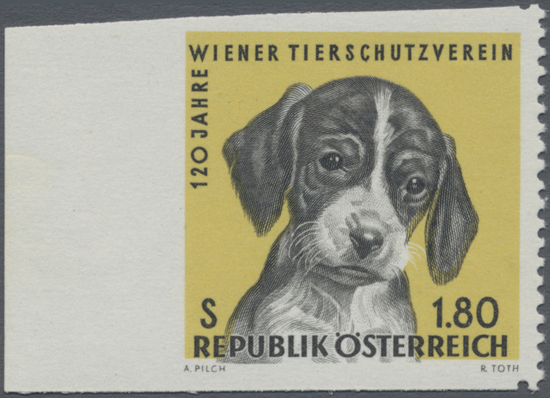 Lot 02505 - thematik: tiere-hunde / animals-dogs - Auktionshaus Christoph Gärtner GmbH & Co. KG 58th AUCTION - Day 2 Lot 02505 - thematik: tiere-hunde / animals-dogs - Auktionshaus Christoph Gärtner GmbH & Co. KG 58th AUCTION - Day 2