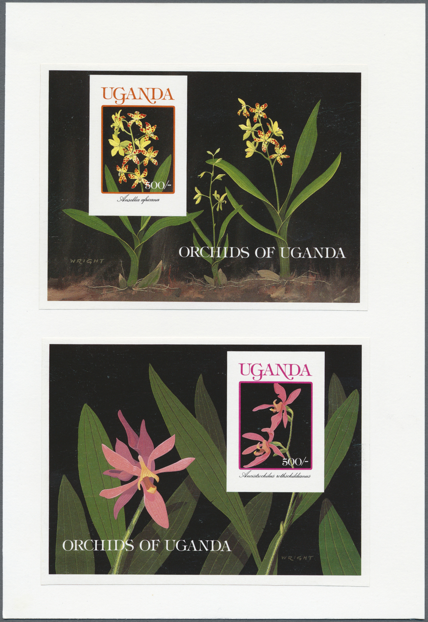 Stamp Auction thematik floraorchideen / floraorchids Sale 49 Single lots Asia, Thematics