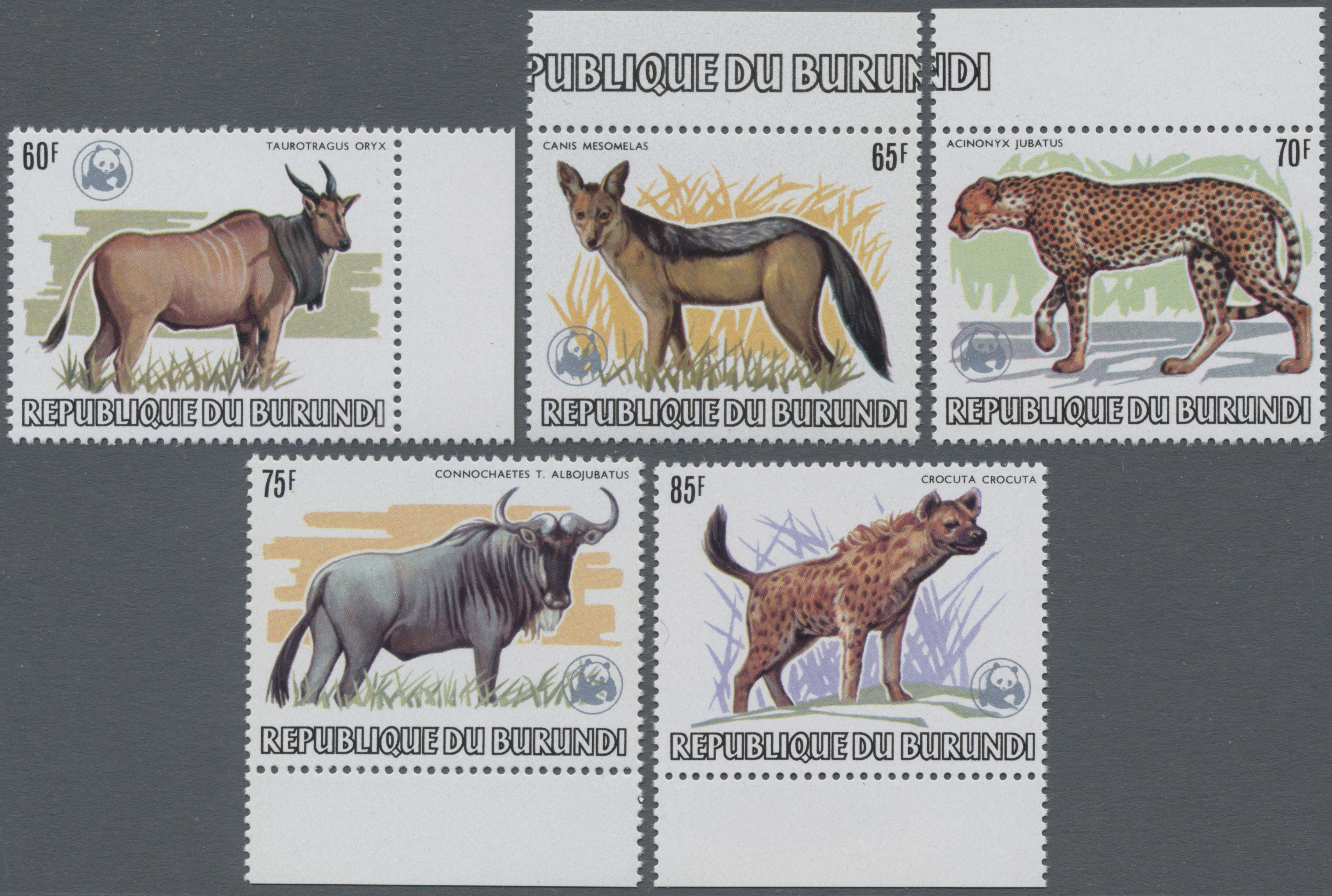 Lot 02493 - Thematik: Tiere, Fauna / animals, fauna - Auktionshaus Christoph Gärtner GmbH & Co. KG 58th AUCTION - Day 2 Lot 02493 - Thematik: Tiere, Fauna / animals, fauna - Auktionshaus Christoph Gärtner GmbH & Co. KG 58th AUCTION - Day 2